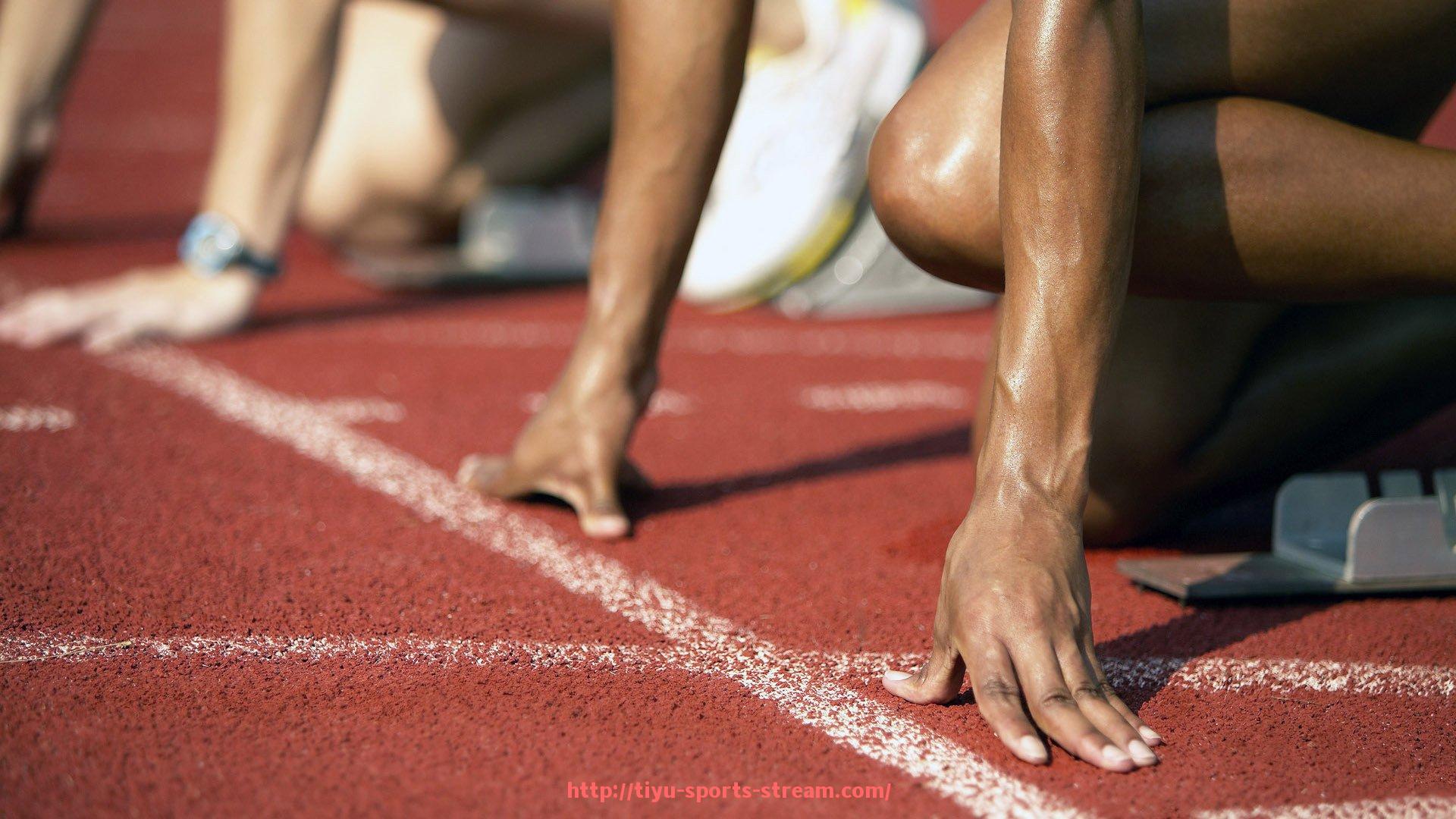 体育直播-意甲各支球队最新排名及积分情况