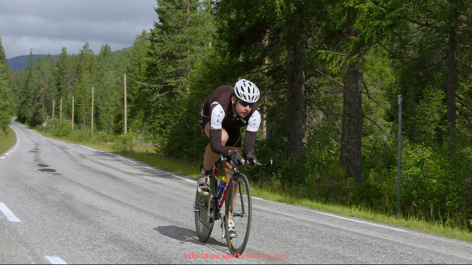 体育直播-2023-2024赛季意甲球队完整名单及阵容分析