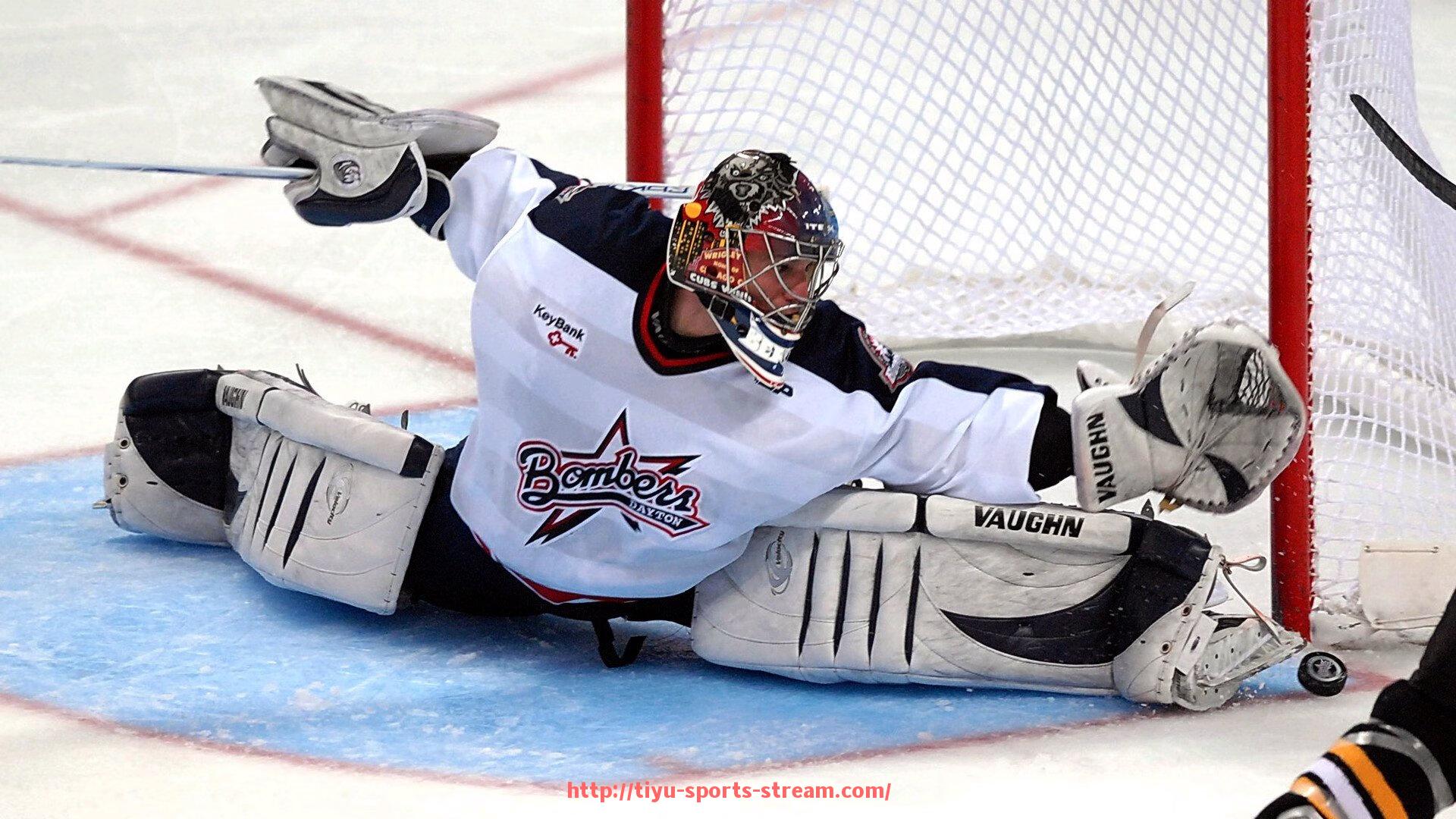 体育直播-获得CBA常规赛冠军的球队盘点与历史表现回顾